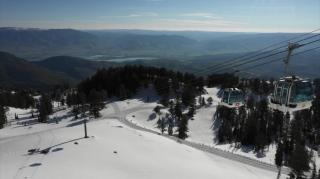 David Phelps International, LLC