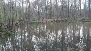 Out Of Business - Mgtow