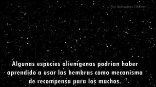 Happy Humble Hermit-   MGTOW y la paradoja de Fermi