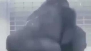 As religiosas e a visão constante que elas tem do sagrado!