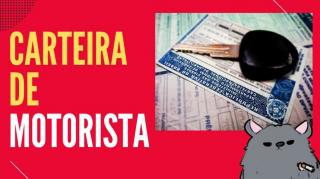 Tirar carteira de motorista • Cortes do Bizu do Ratão