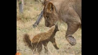 A ilusão da justiça