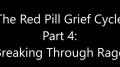 Turd Flinging Monkey | The Red Pill Grief Cycle (4) [Mirror]