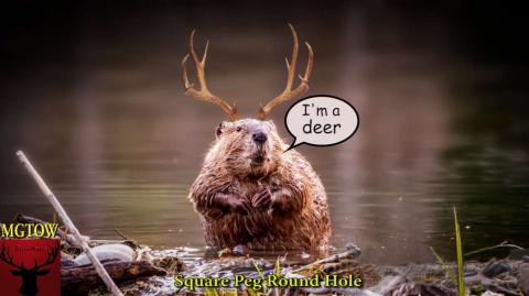 Square Peg Round Hole