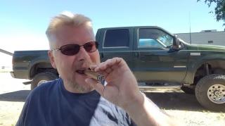 The clamouring Of Gynocentrists clam Lol