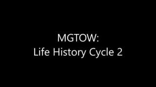 Turd Flinging Monkey | The Traditionalism Cycle: Part 5 [Mirror]