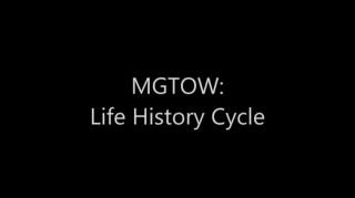 Turd Flinging Monkey | The Traditionalism Cycle: Part 4 [Mirror]