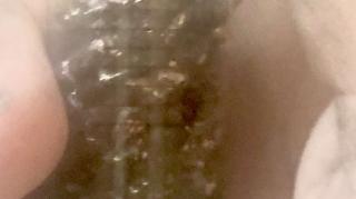 Zero Point Energy Crystal Update