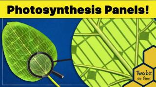 Breakthrough Solar Panels Store Energy Just Like Plants!