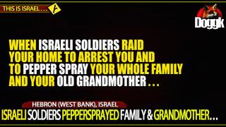 ISRAELI SOLDIERS PEPPERSPRAYED A FAMILY & GRANDMOTHER... (HEBRON, ISRAEL)