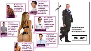 Las mujeres y sus harems masculinos (Sandman)