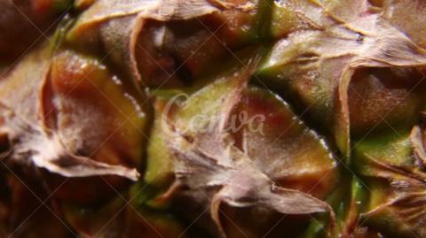 How-To-Make Delicious, Smoothies For Rapid Weight Loss, Increased Energy, & Incredible Health!