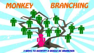 La Liana o Monkey branching (Medio No Oficial)