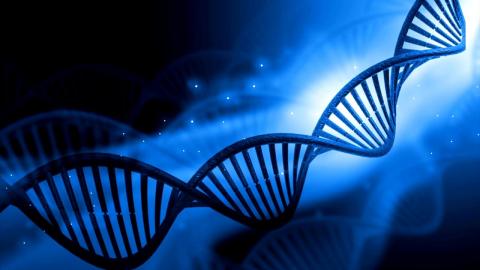 Understanding Genetics