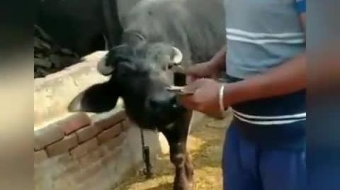 Com essa cena nem precisa de título