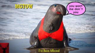 MGTOW I've Been Affected