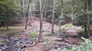 Thot Fatigue Part 2 - Mgtow