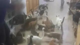 Finalmente chegou o The Wall!