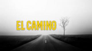 PROSTITUCION INDIRECTA Y DIRECTA