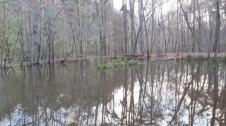 Zero Apologies Part 2 - Mgtow