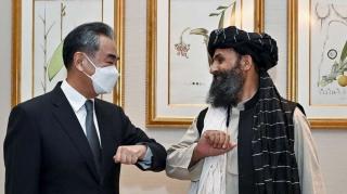 The Taliban Are Looking Better Every Day