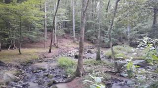 Era of Consequences Part 3 - Mgtow