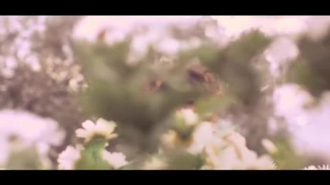 Frida Gold - Wovon Sollen Wir Träumen? (Official Music Video)