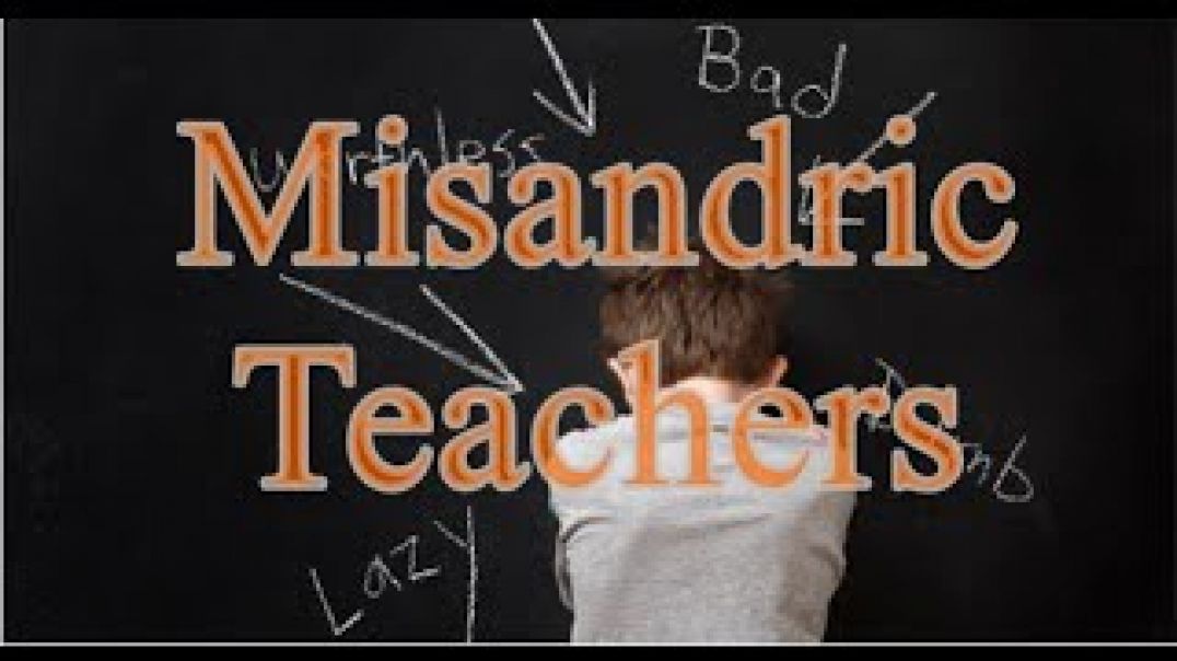 Misandric Teachers