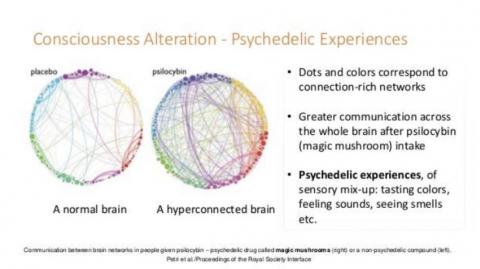 Psychedelic Medicine, Learning Self Discipline + My Reply To (No Magic Mushrooms - ShadowMonk)