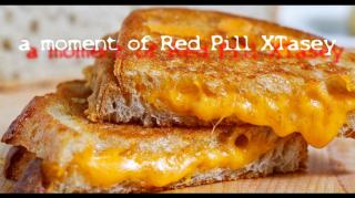 Grilled Cheese, Zen, and The Red Pill