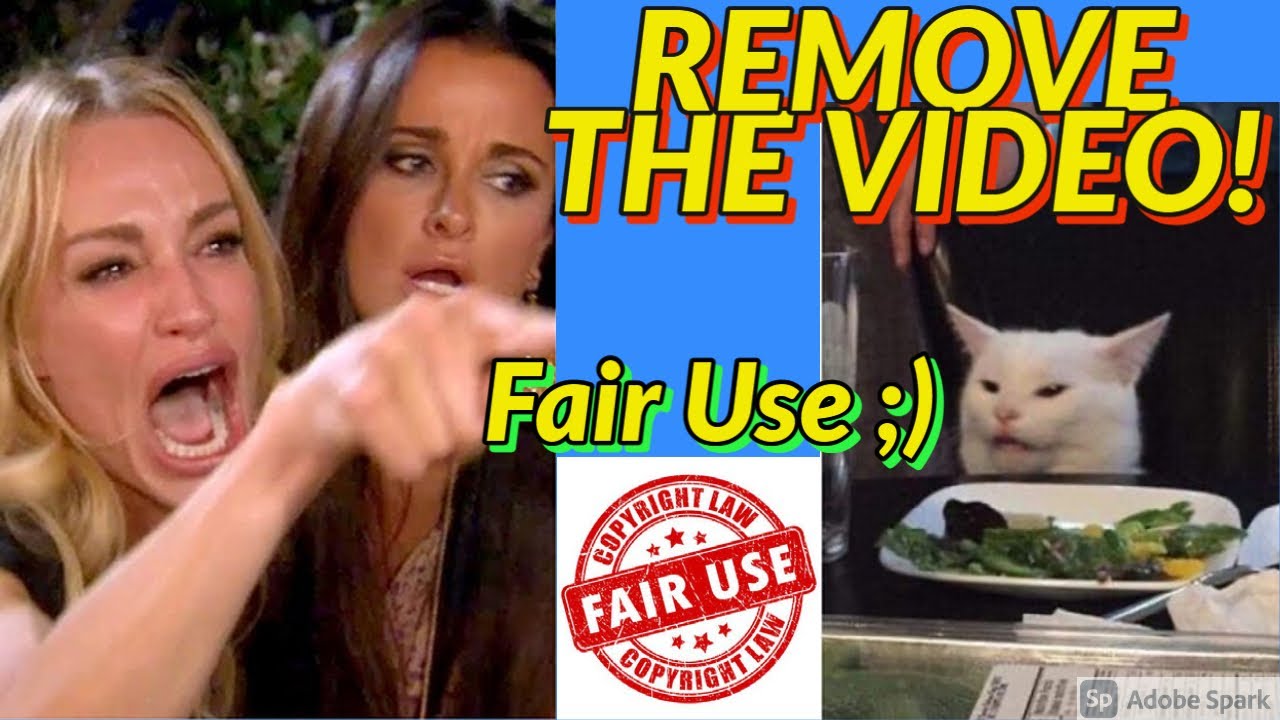 "DELETE THE VIDEO OR THE LAWYER IS NEXT!" (Analysis) Fair Use