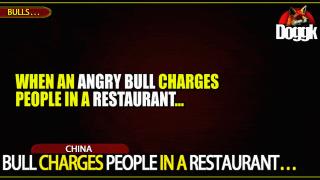 BULL CHARGES PEOPLE IN A RESTAURANT.. (CHINA)