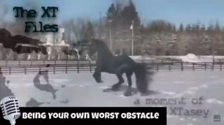 Being Your Own Worst Obstacle
