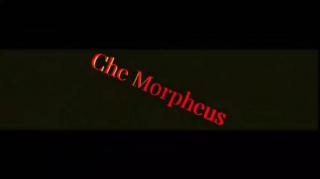 Che Morpheus - Consecuencias Del Síndrome De La Viudez De Alfa - MGTOW