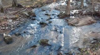 Snares And Traps Part 2 - Mgtow