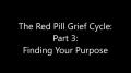 Turd Flinging Monkey | The Red Pill Grief Cycle (3) [Mirror]