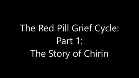 Red Pill Grief Cycle
