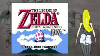 Zelda - Link's Awakening DX 6
