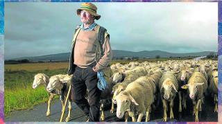 LHLP 112 - 09 Presión Pastoral