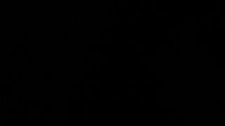 how to deal with trolls #mgtow