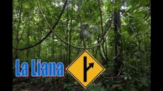 MGTOW - La Liana