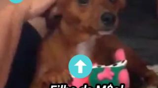 O amor que é dado a quem assume e é o provedor de uma M$ol e suas proles!