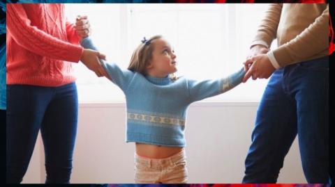 LHLP 119 - 01 MexGin Custodia Automática Anulada