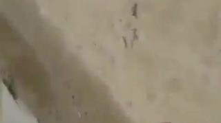 +18, No tráfico é na Lei de Hamurabi... Mulher é morta após atrair namorado para ser executado por seus rivais!