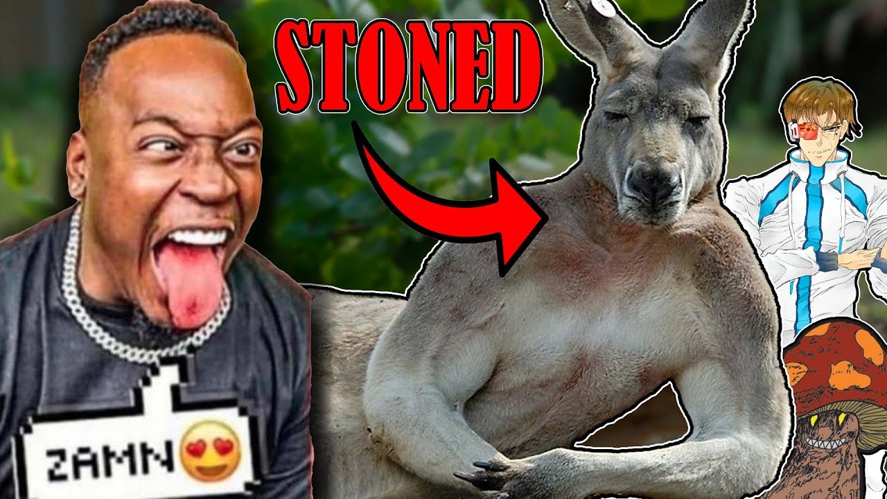 Kangaroo's getting STONED in China (ft. @Manic the Manic Mechanic)