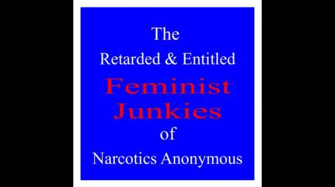 The Feminist Junkies of Narcotics Anonymous - meh