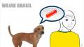WOJAK - ESTILO CACHORRO - RACIONAIS MC'S