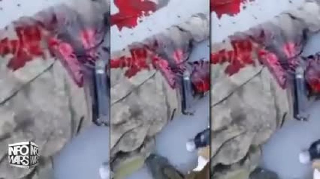 Shocking Video Reportedly Shows Ukrainians Shooting & Torturing Russian POWs