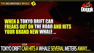 TOKYO DRIFT CAR HITS A WHALE SEVERAL METERS AWAY.. (USA)