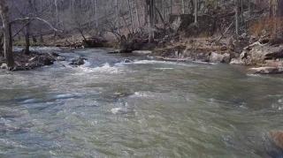 Miss Independent - Mgtow